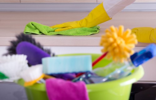 Professional pet stain odour removal in Golders Green for carpets