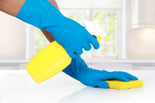 Illustration representing a secure and efficient carpet cleaners website