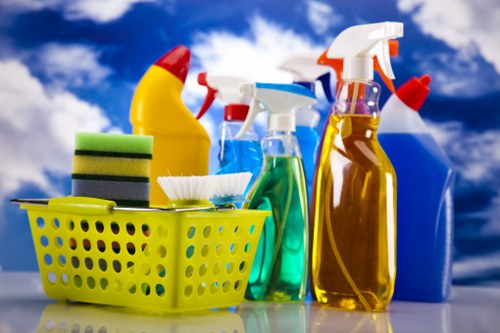 Carpet cleaning service terms and conditions introduction