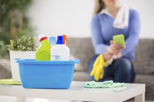 Senior team reviewing carpet cleaning complaint details