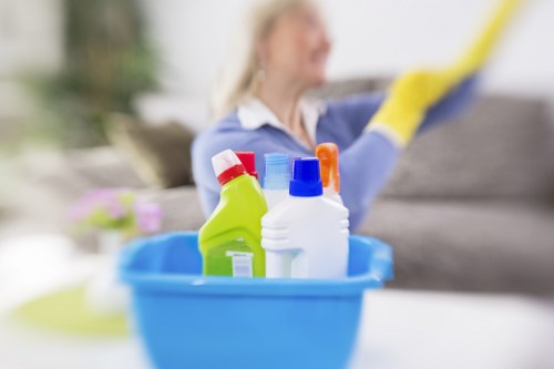 Golders Green carpet cleaners working in a modern home