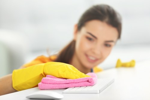 Local pet odour cleaning service treating upholstery in Golders Green