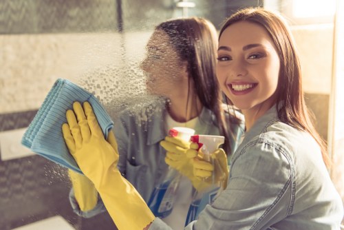 Odour-free pet stain removal service for Golders Green households